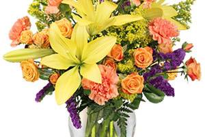 Desert Rose Floral