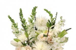 Desert Rose Floral