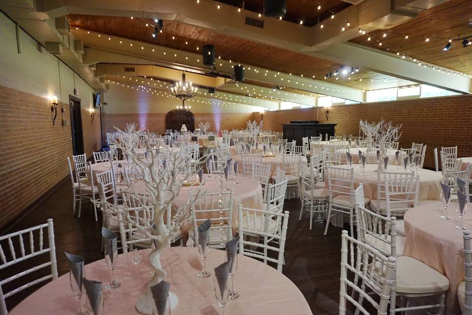 Reception hall setup