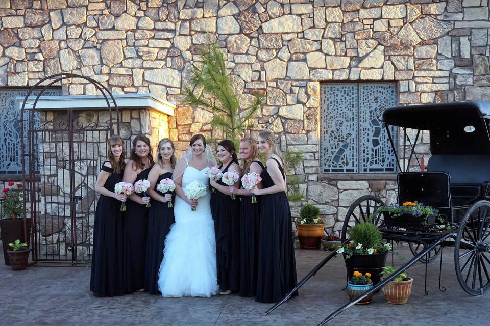 Bride and her bridesmaids