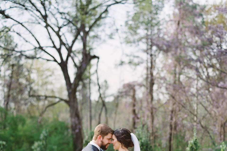 Anna Mialik Photography