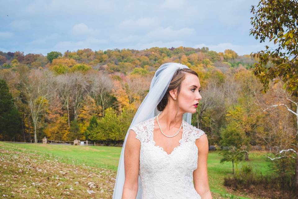 Fall Bride