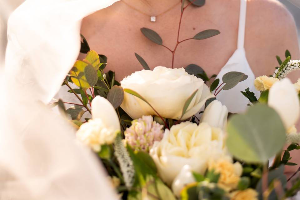 Bride in veil