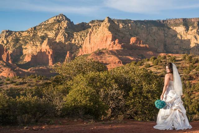 Beautiful backdrop