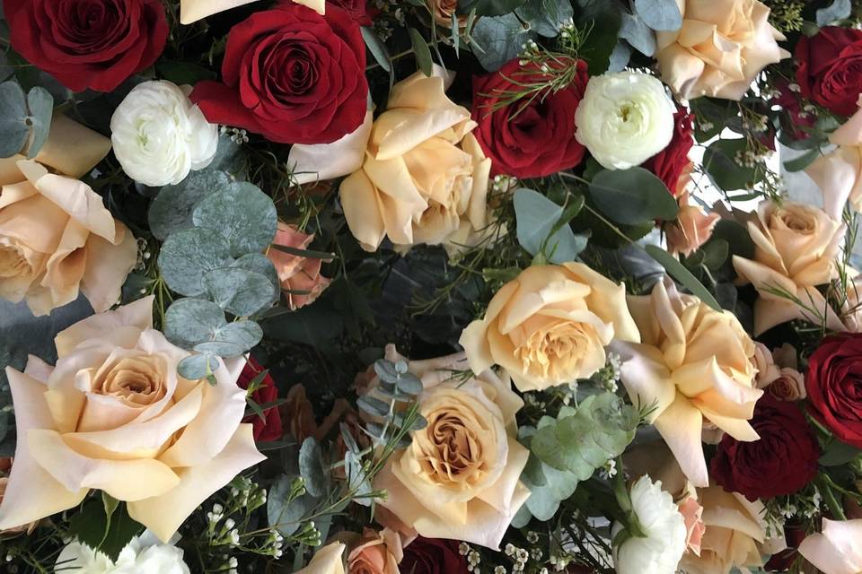 Mixed roses