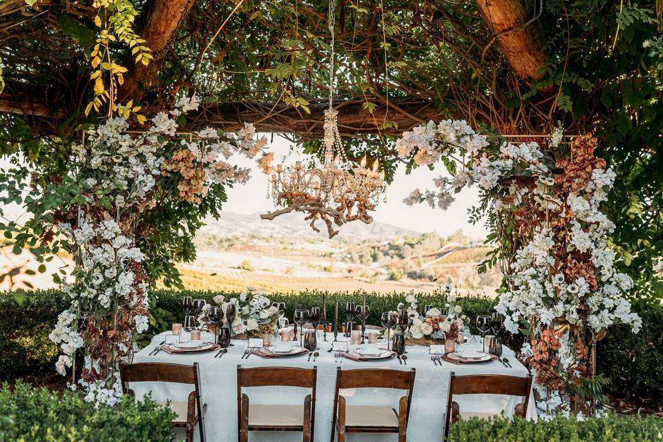 Vineyard wedding