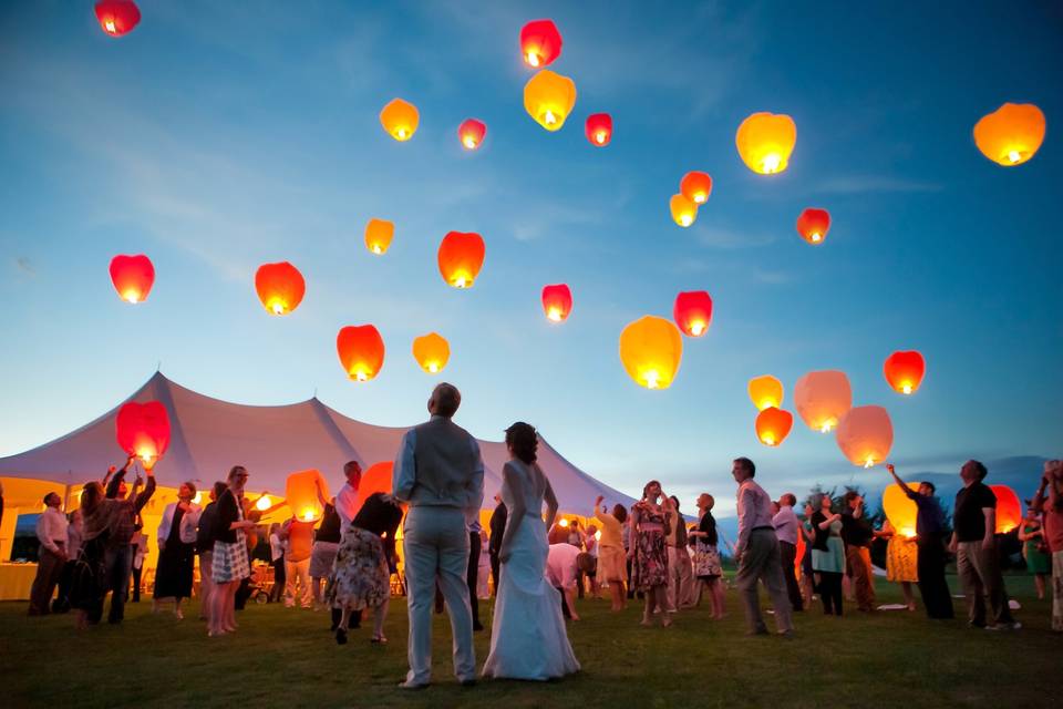 Pacific Party Canopies