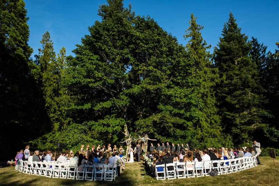 Pacific Party Canopies