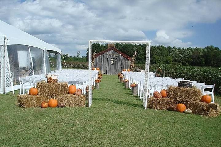 Wedding ceremony area