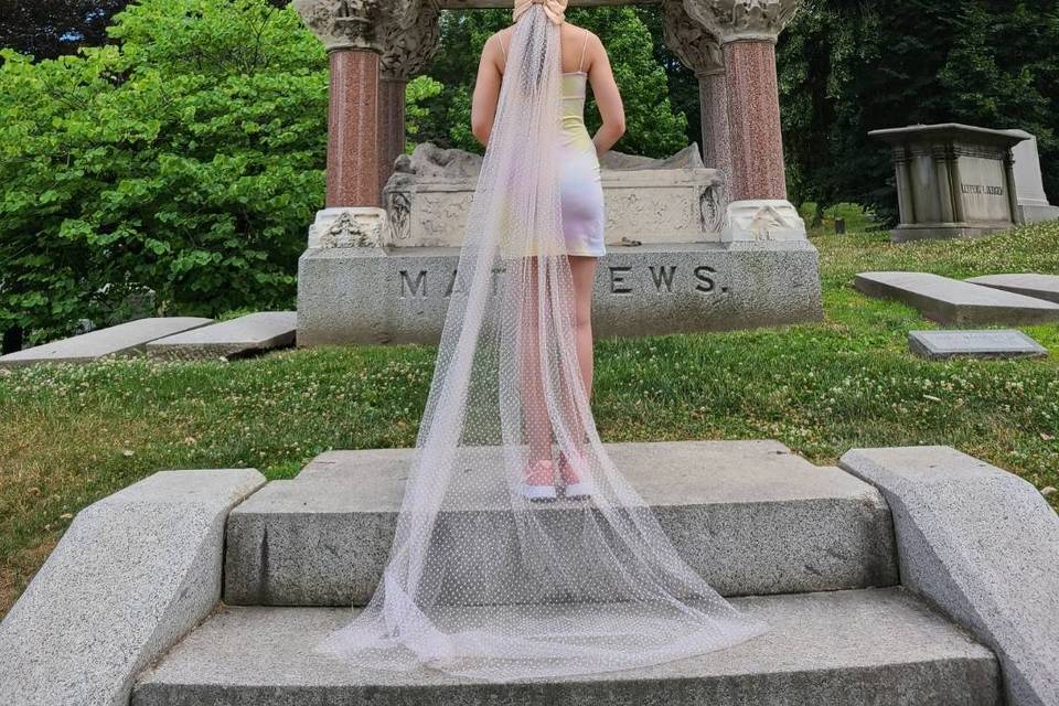 Polkadot Bow Veil