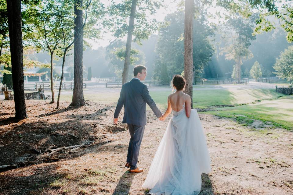 A stroll through the meadow