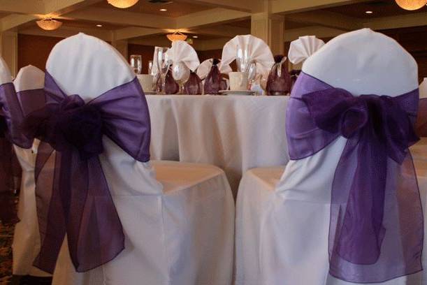 Dollar Chair Covers DC/VA/MD