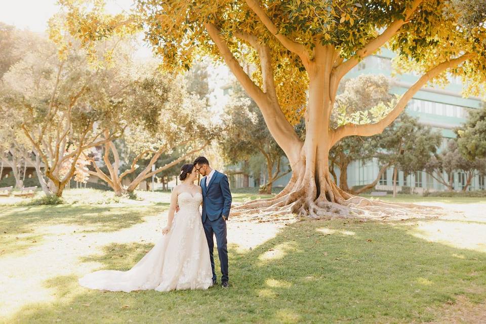 University Club of Chicago Wedding with custom built trees