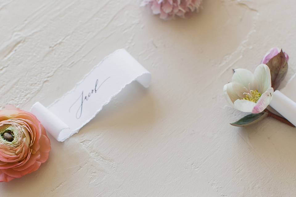 Little cards | Jenny Haas Photography