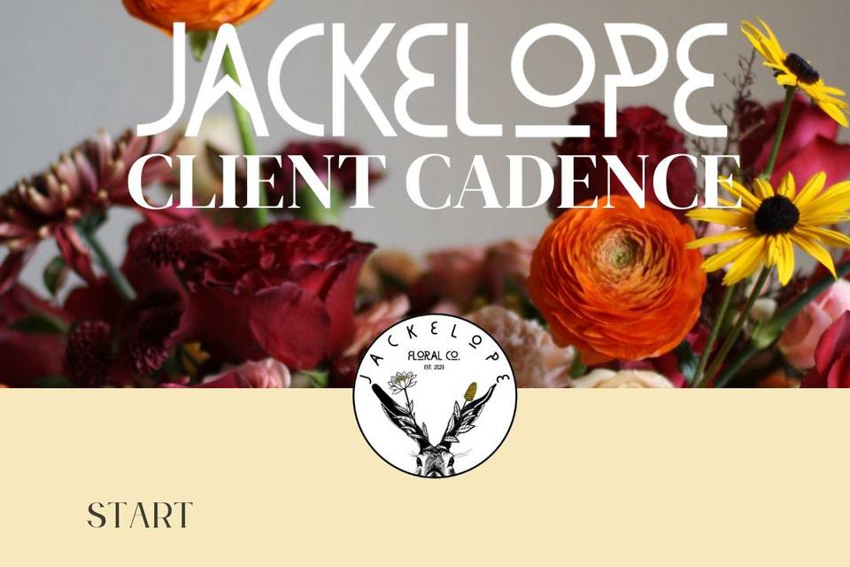 Jackelope Floral Co.