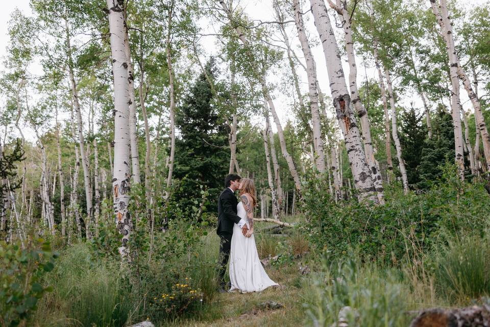 Aspens