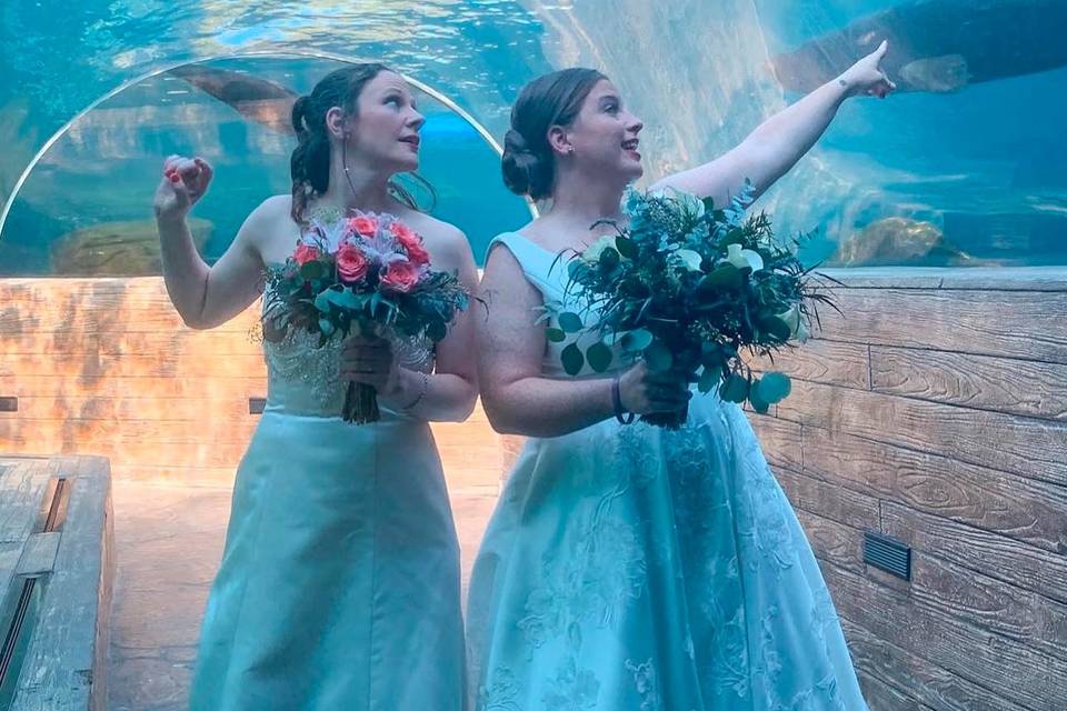 Zoo wedding