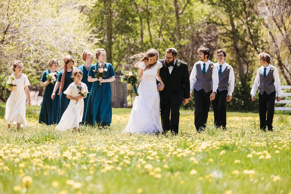 Wedding in the pasture