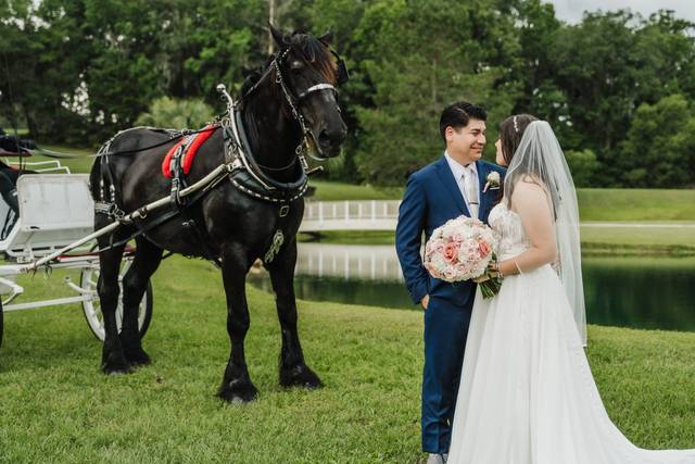Officiant Services