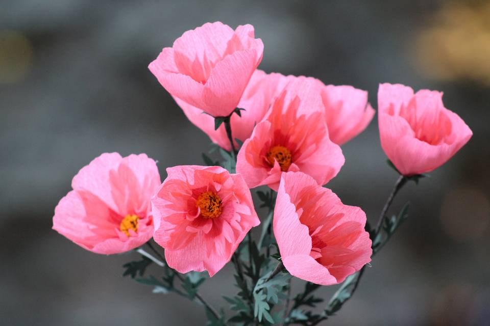 Cosmos flower stems