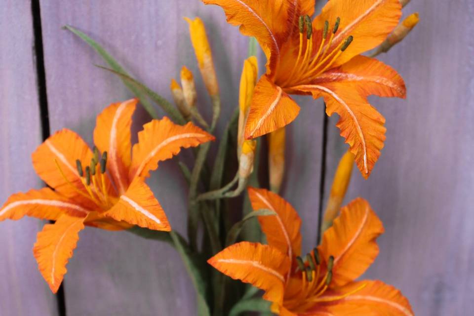 Daylily paper flowers