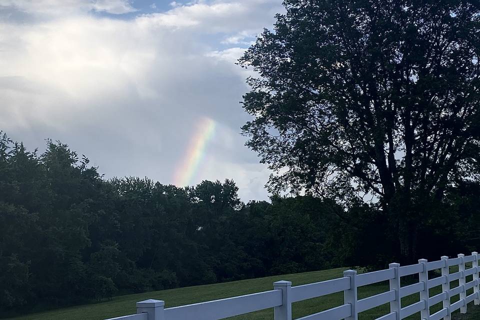 Rainbow over the Pasture