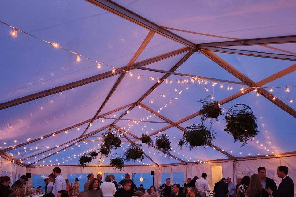 Clear top tent under the stars