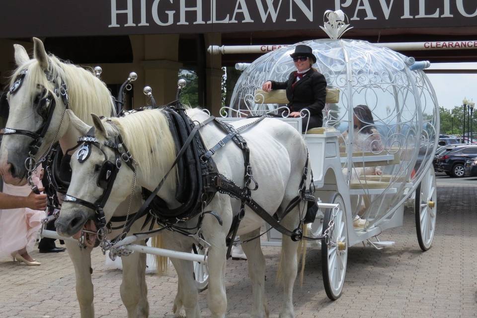Horse Drawn carriage