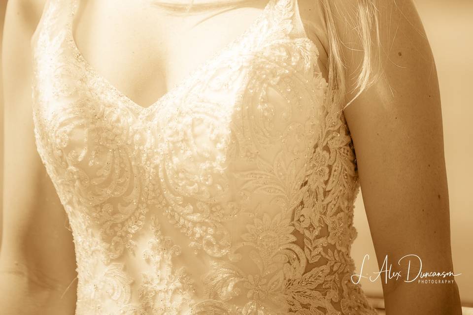 Sepia bridal portrait