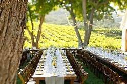 Vineyard Wedding