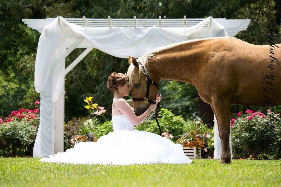 Bridal photo