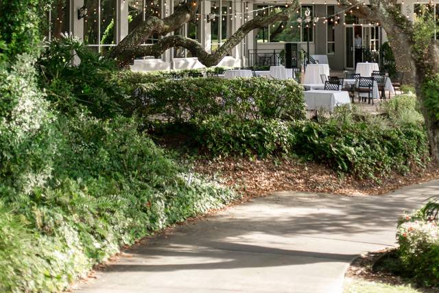 The terrace