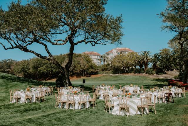 Reception on the Lawn