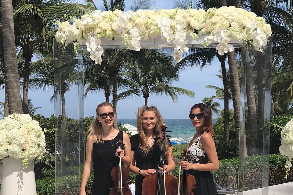 String Trio Stella Strings