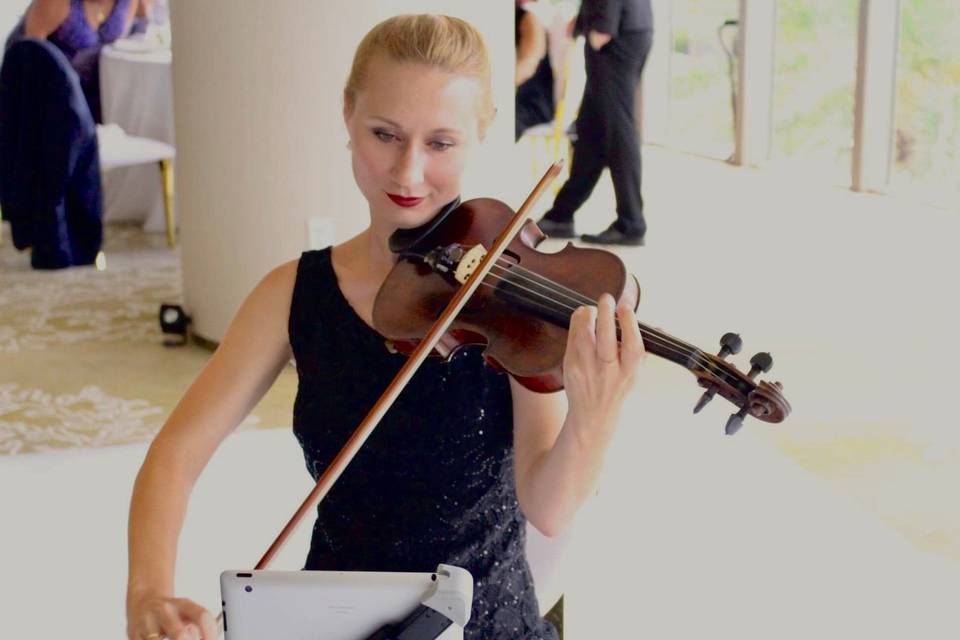 Evgeniya violin