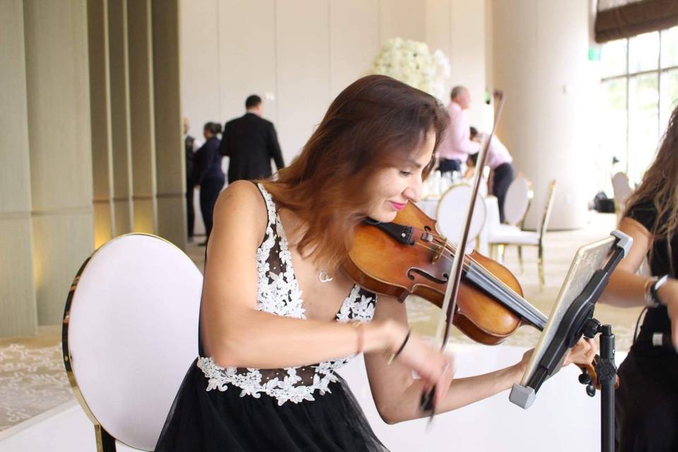 Ekaterina violin