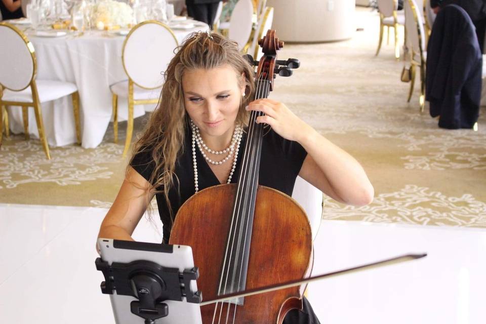 Evgenia Cello