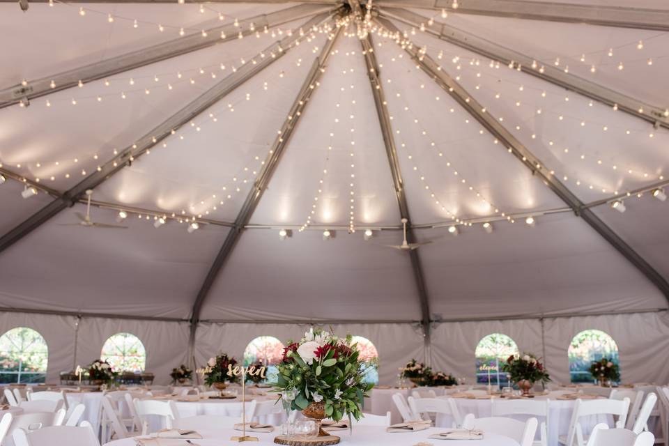 Garden Canopy Reception