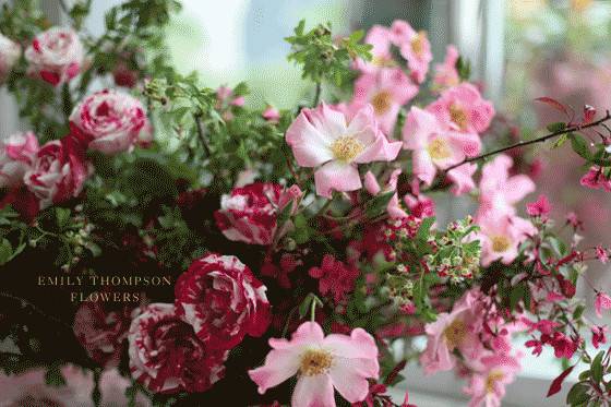 Emily Thompson Flowers