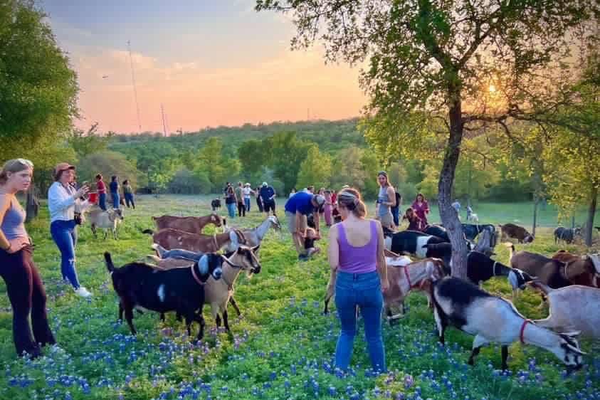 Ranch grounds