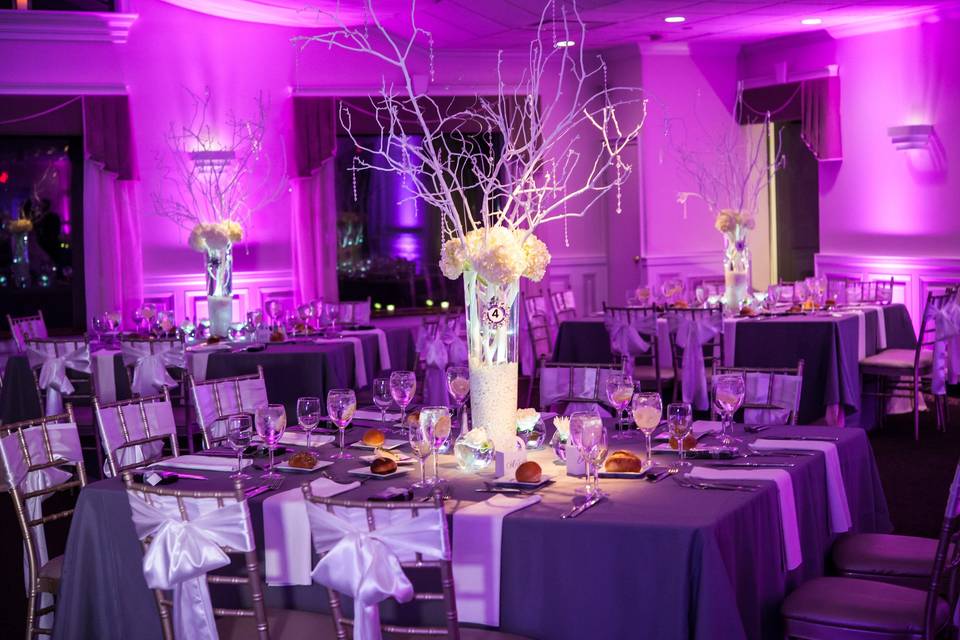 Flowerfield Wedding, St. James, NY - purple uplighting