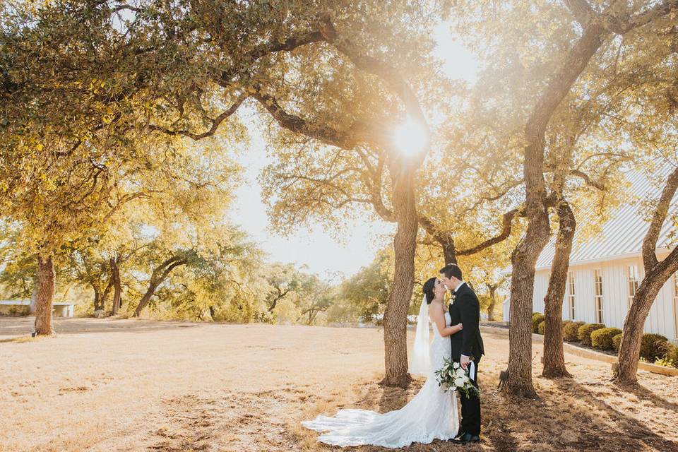 Golden Oak Grove