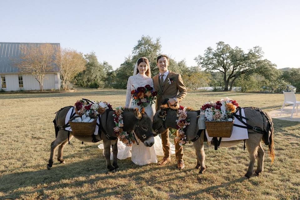 Hill Country Charm