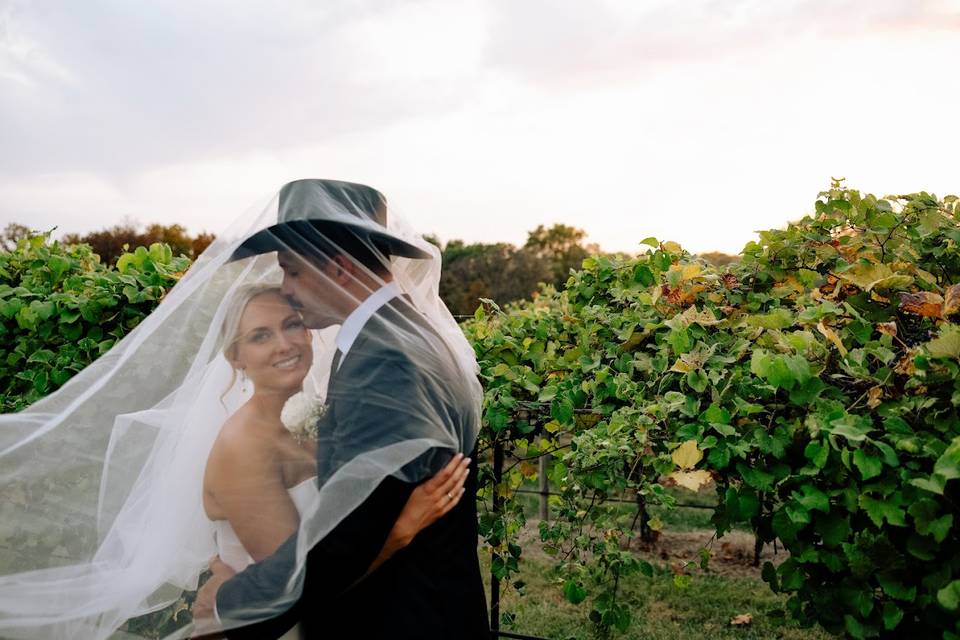 Vineyard