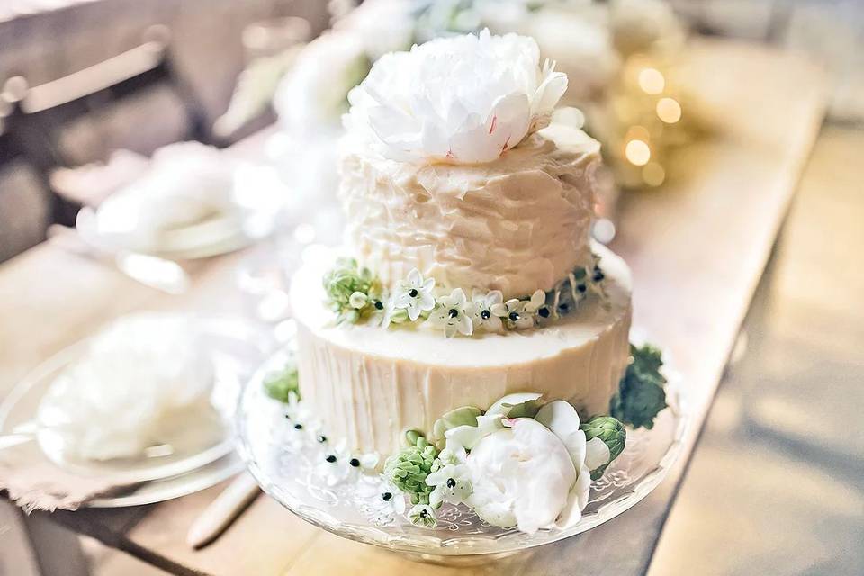 2 layer wedding cake