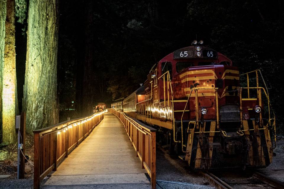 Skunk Train