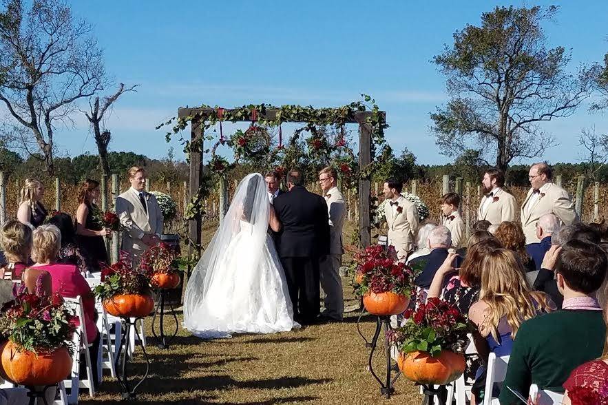 Fall vineyard wedding