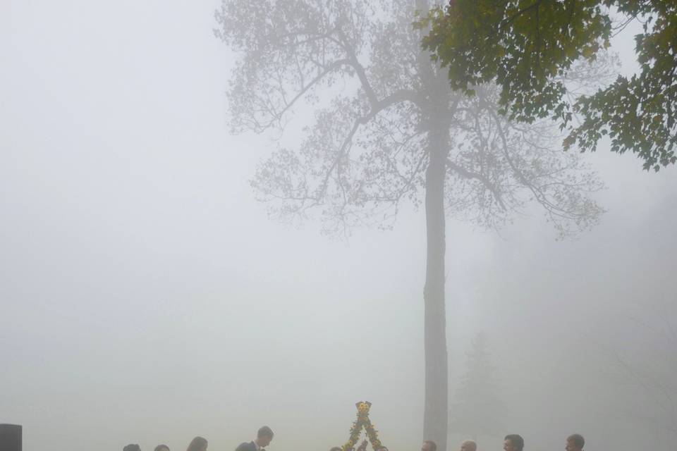 Bearwallow Mountain Fog