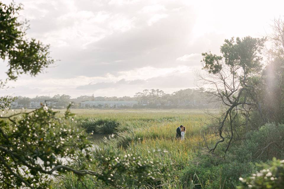 Serene in the marsh