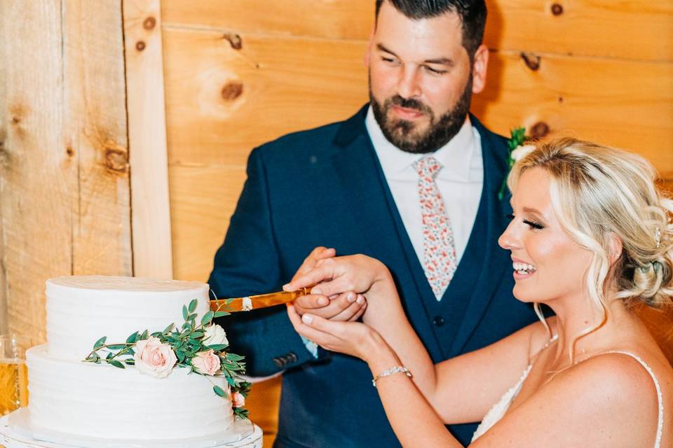 Cake cutting bride & groom